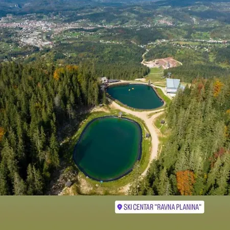 Vlajic 2020 * Gornje Pale