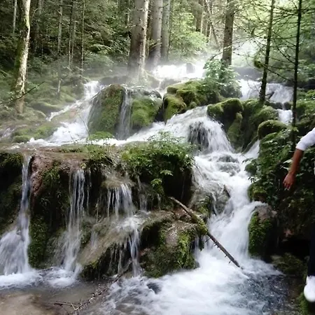 Vlajic 2020 דירה Gornje Pale