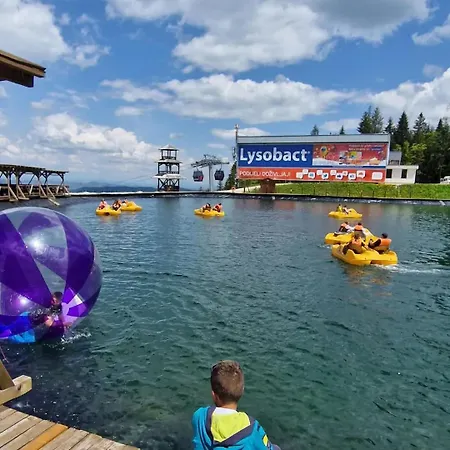 Vlajic 2020 Gornje Pale