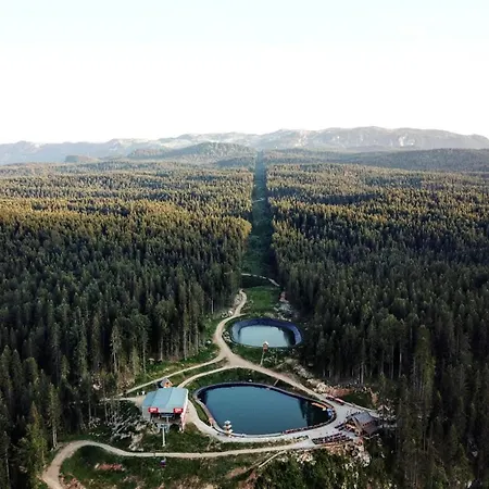 Vlajic 2020 * Gornje Pale