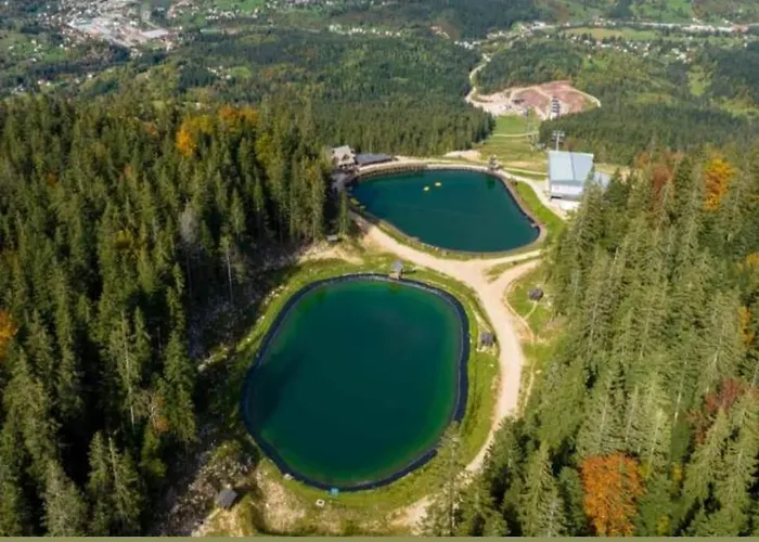 Vlajic 2020 * Gornje Pale