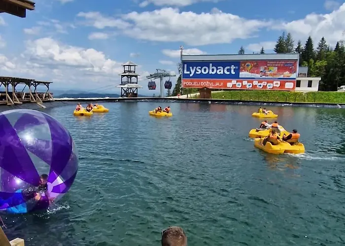 Vlajic 2020 Gornje Pale