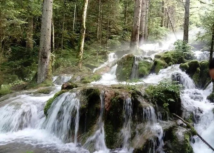 Vlajic 2020 Appartement Gornje Pale