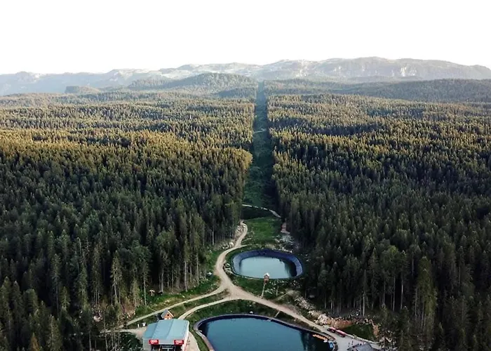 Vlajic 2020 * Gornje Pale